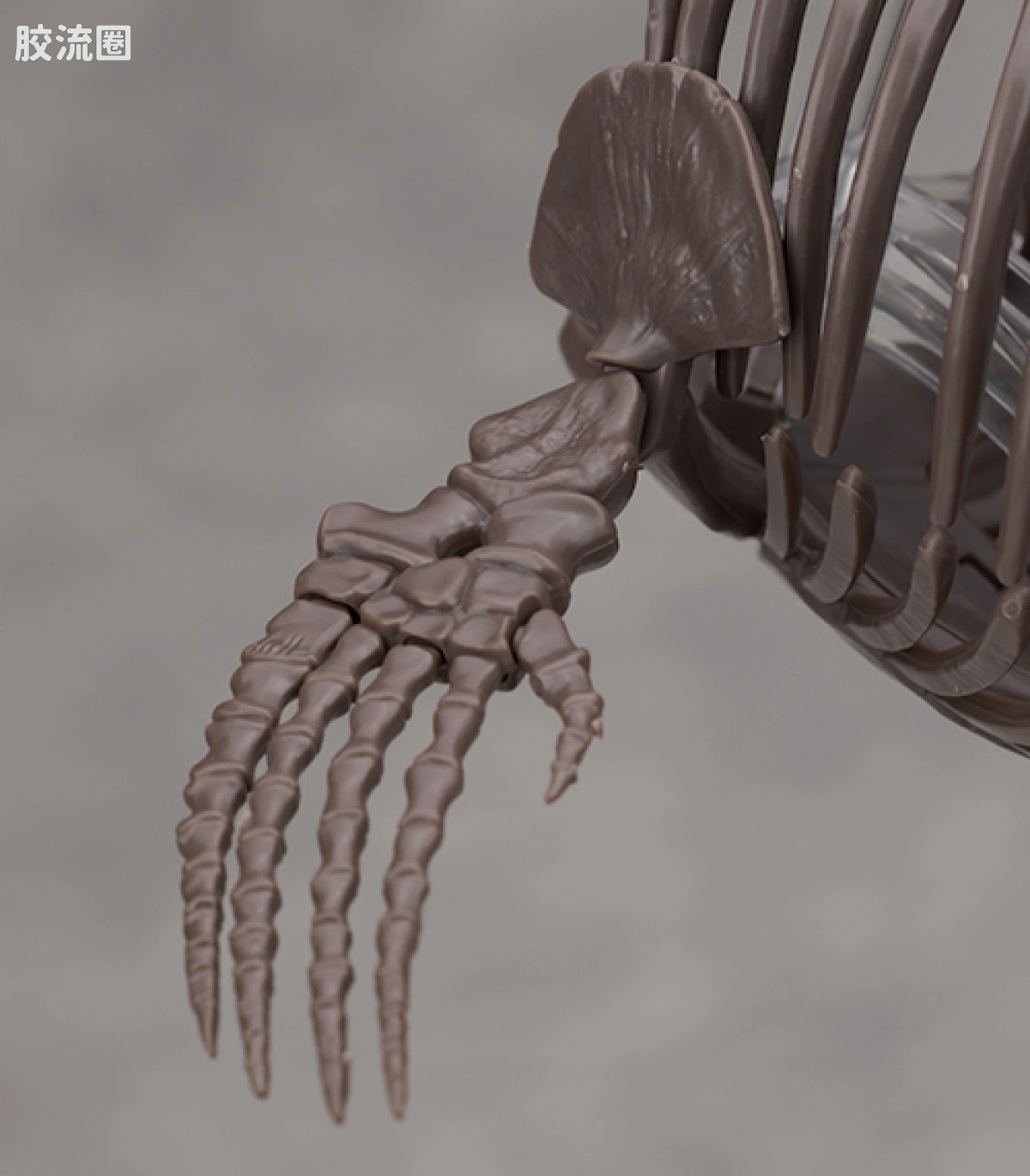 万代综合拼装模型系列 Imaginary Skeleton系列 沧龙 - 图片